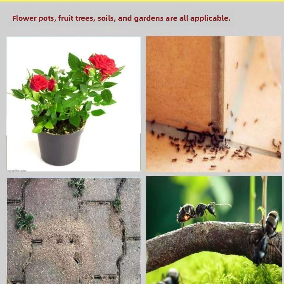 🐛🦟Powerful Bed Bug Repellent Spray💥