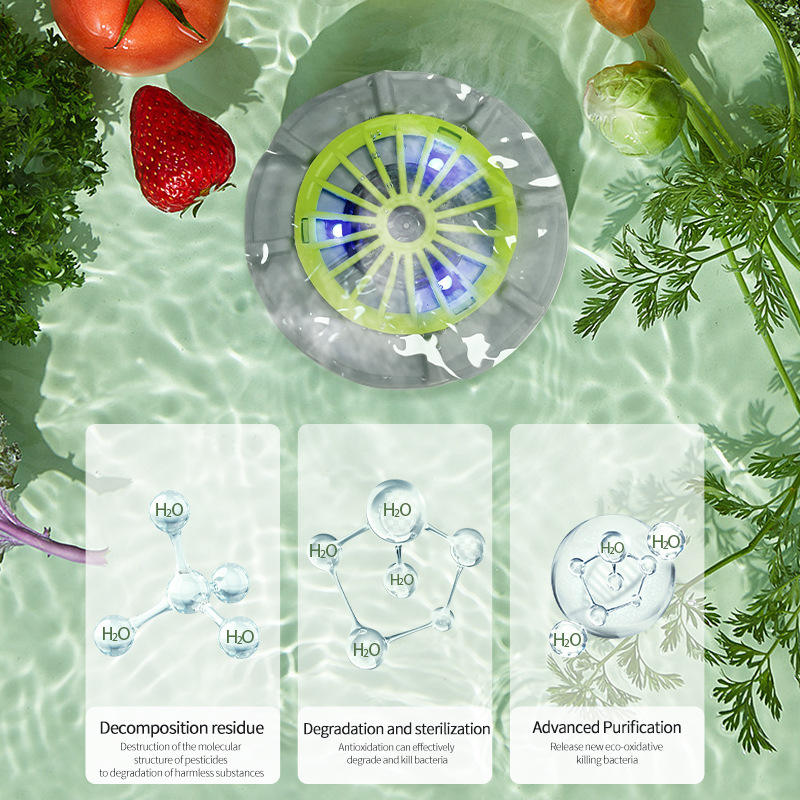 Efficient Portable Fruit and Vegetable Washers