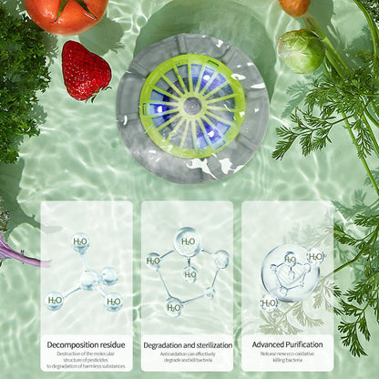 Efficient Portable Fruit and Vegetable Washers