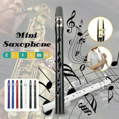 Key Of C Two Octave Range Pocket Travel Saxphone