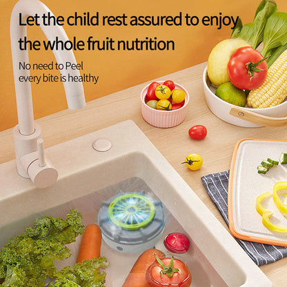 Efficient Portable Fruit and Vegetable Washers