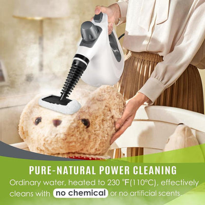 Multi-Surface Natural Steam Cleaner