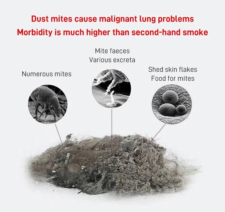 🔥Household high-frequency strong mite removal instrument