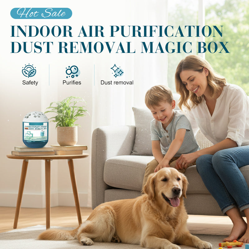 Indoor Air Purification Dust Removal Magic Box