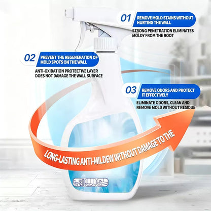 Highly Effective Mould Removal Spray
