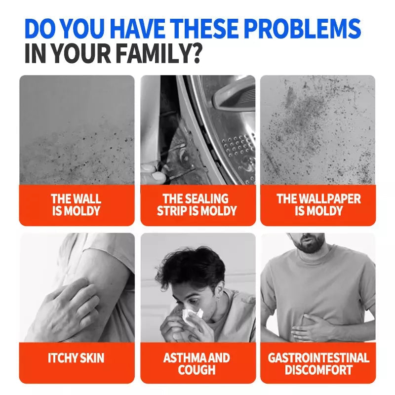 Highly Effective Mould Removal Spray