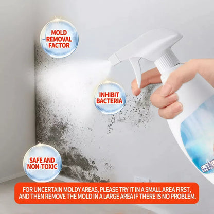Highly Effective Mould Removal Spray