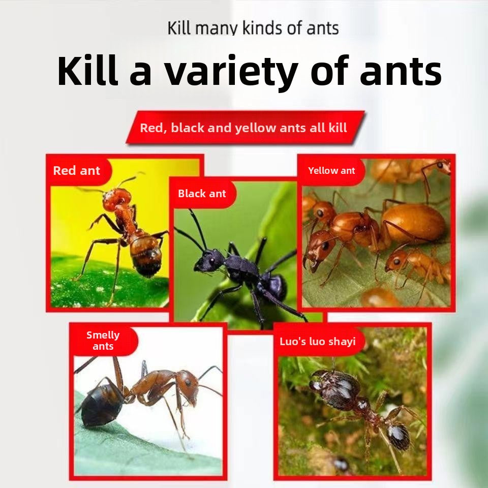 🐛🦟Powerful Bed Bug Repellent Spray💥