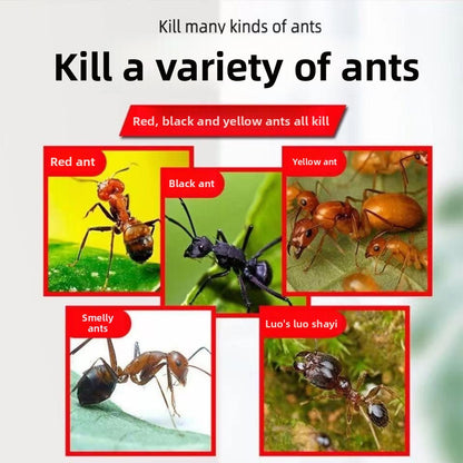 🐛🦟Powerful Bed Bug Repellent Spray💥