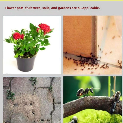 🐛🦟Powerful Bed Bug Repellent Spray💥