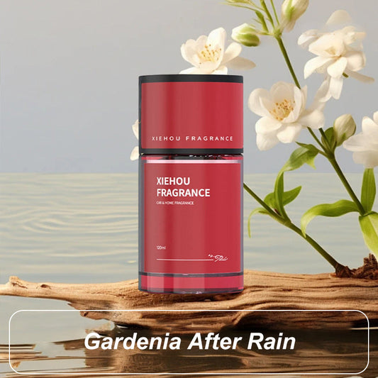 Enduring car fragrance 🌸✨