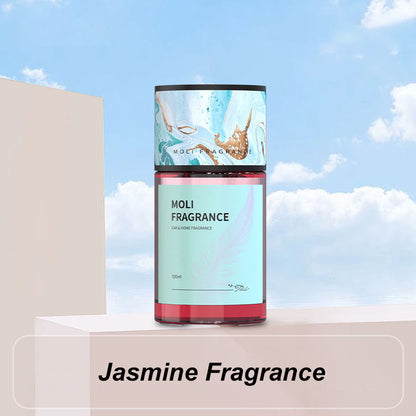 Enduring car fragrance 🌸✨