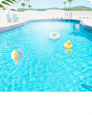 2-IN-1 Efficient Algae Remover