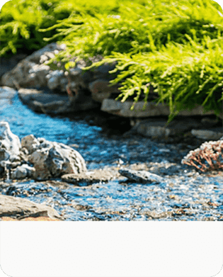 2-IN-1 Efficient Algae Remover