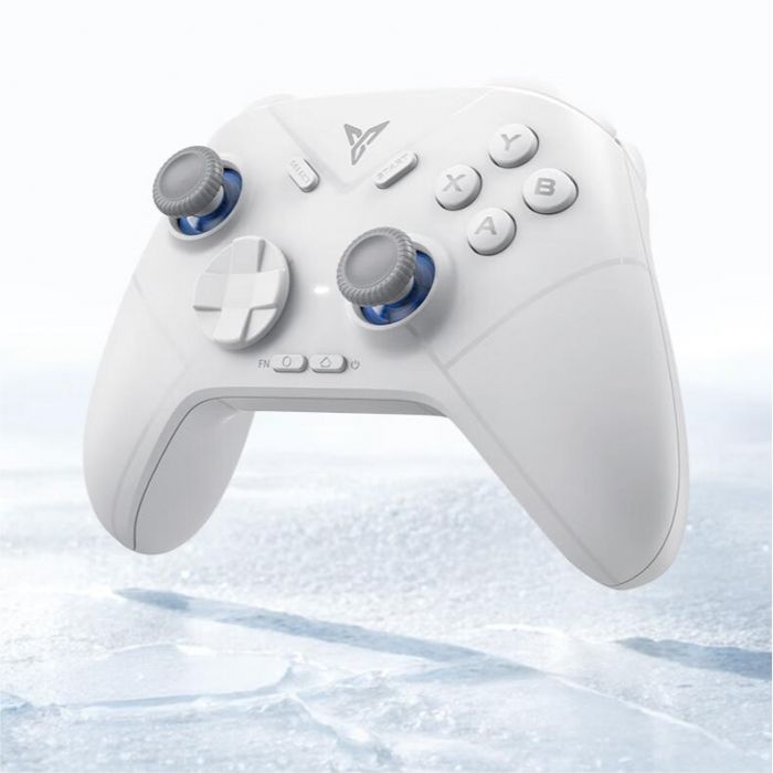 Multi-Platform Gaming Controller