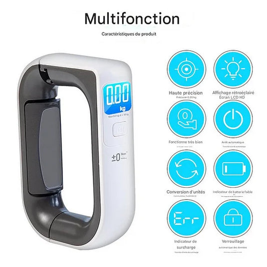 Portable high-precision hook-type portable electronic scale