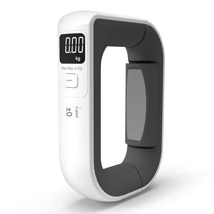 Portable high-precision hook-type portable electronic scale