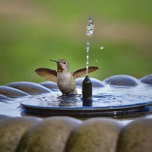 Solar Powered Fountain