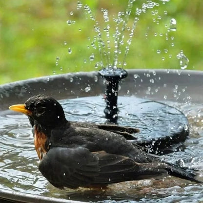 Solar Powered Fountain