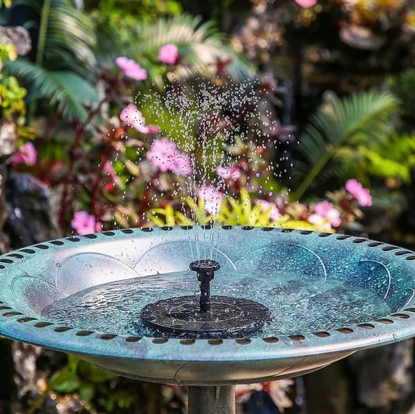 Solar Powered Fountain