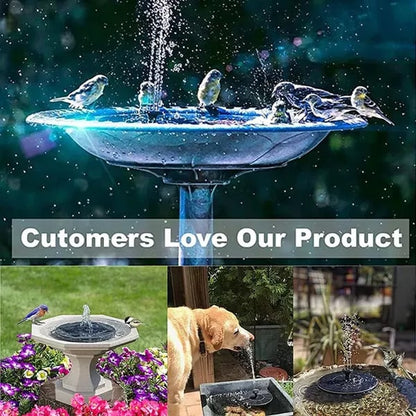 Solar Powered Fountain