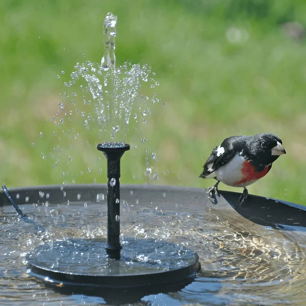 Compact Solar Bird Fountain Pump – Keep Your Garden Alive! 🐦️