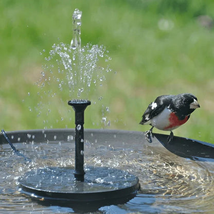 Compact Solar Bird Fountain Pump – Keep Your Garden Alive! 🐦️