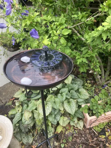 Compact Solar Bird Fountain Pump – Keep Your Garden Alive! 🐦️