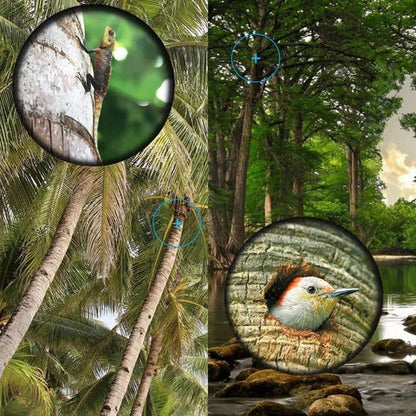 Professional Bifocal Monocular – 40x60 Vertical-Grain
