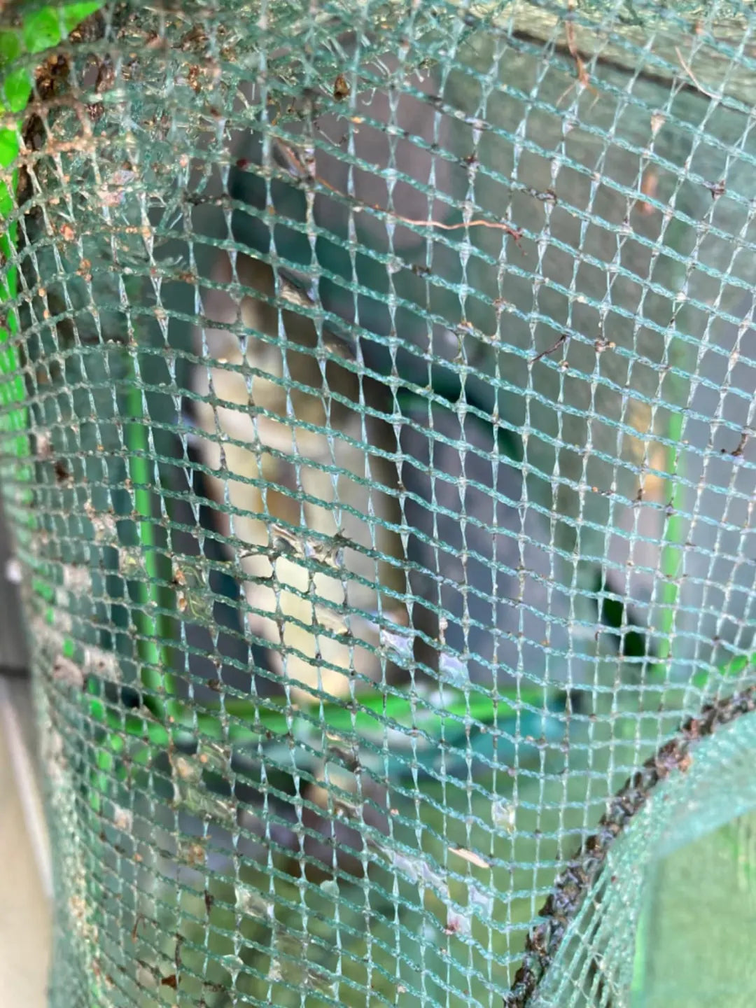Automatic Foldable Strengthened Fish Catcher