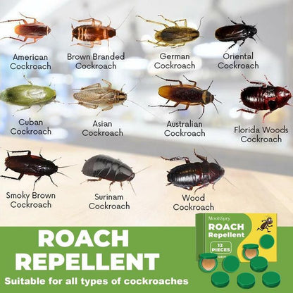 🔥Household Strong Cockroach Killing Gel