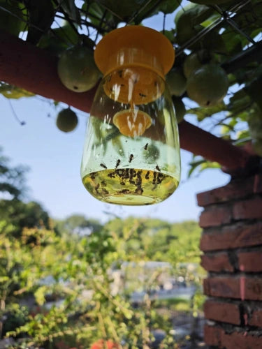 Reusable Hanging Fly Trap🚫🦟 – Safe for Indoor & Outdoor