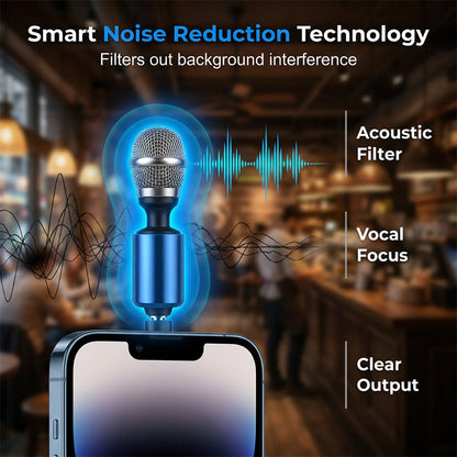 3.5mm Jack Mini Vocal Microphone