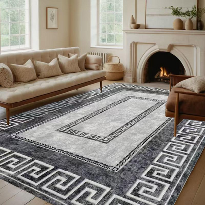 🥳2026 HOT SALE !!🥳 Non-Slip Low Pile Area Rug