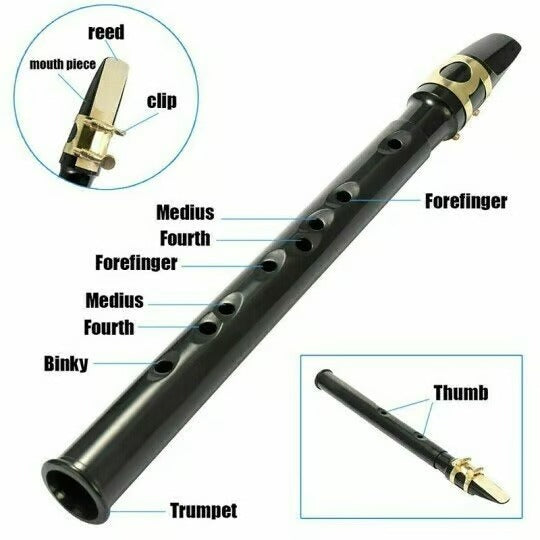 Key Of C Two Octave Range Pocket Travel Saxphone