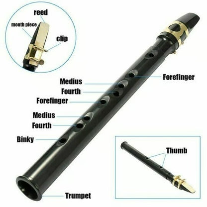 Key Of C Two Octave Range Pocket Travel Saxphone