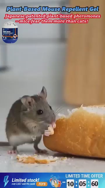 Plant-Based Indoor Mouse Repellent Gel