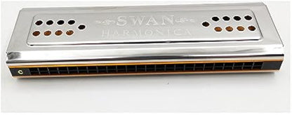 24-hole Double-sided Harmonica